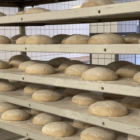 Geformte Teiglinge ruhen